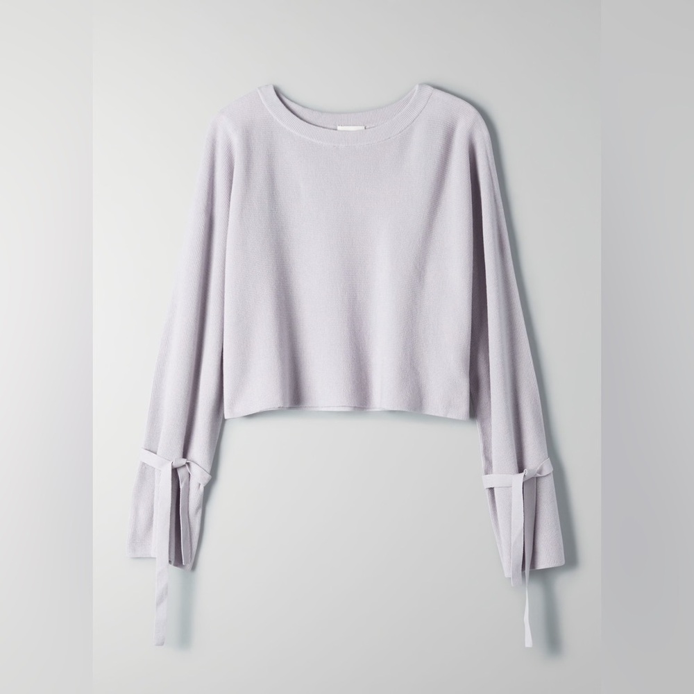Wilfred Emmy sweater